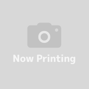 日の出南１ 売地